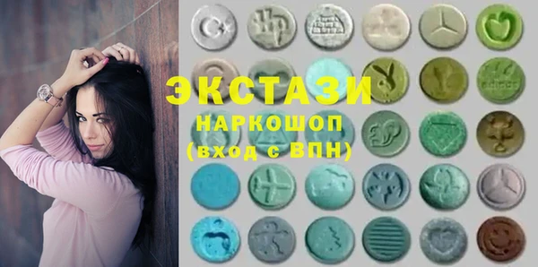индика Нягань