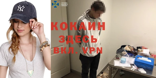 стаф Бородино