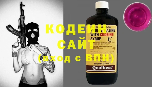крисы Бронницы