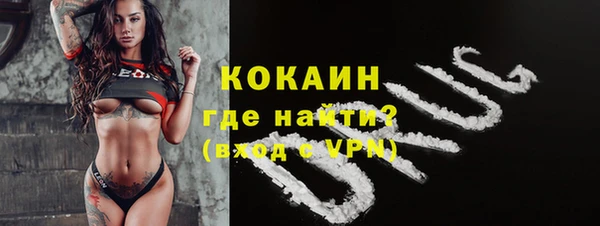 стаф Бородино