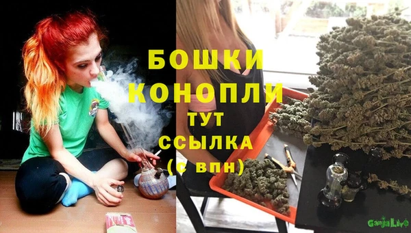 стаф Бородино