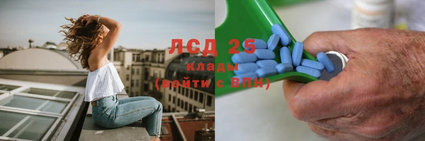 стаф Бородино