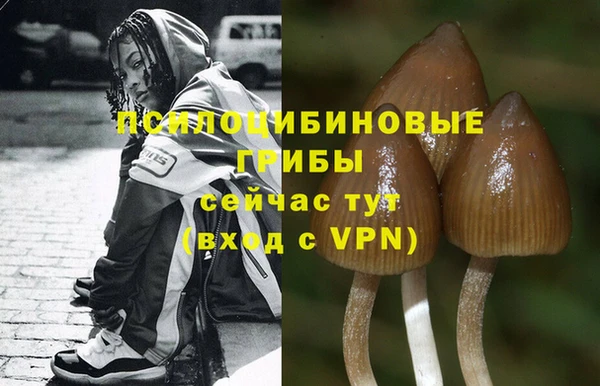 крисы Бронницы