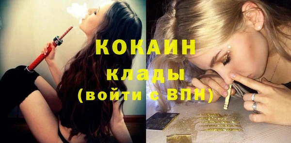 крисы Бронницы