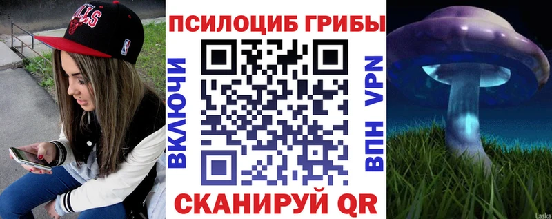 Псилоцибиновые грибы Magic Shrooms  где купить наркоту  Далматово 